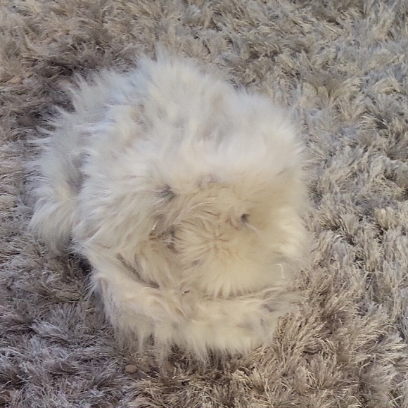 Collection XIIX Cream Fuzzy Hat - Picture 2 of 8